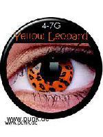 Kontaktlinse: gelbes Leopardenmuster