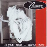 THE CAMAROS: Right Now I Hate You